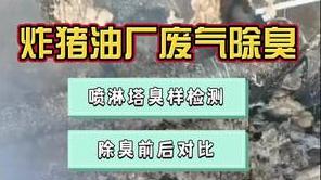 潔匠凈化·的凈工業除臭劑_炸豬油廠廢氣油煙異味大、溫度高，除臭劑有效嗎？儀器檢測，驗收除臭效果！